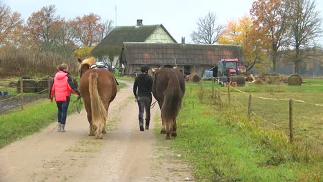 Las-Mujeres-Conducen-Caballos-A-Lo-Largo-De-Un-Camino-Rural