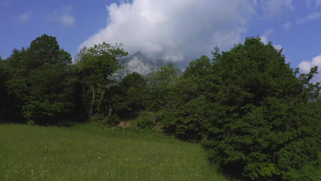 Comience-A-La-Altura-De-Los-Ojos-En-Un-Prado-Jugoso,-La-Cámara-Gana-Altura-Y-Revela-La-Vista-De-Una-Montaña-Parcialmente-Cubierta-De-Nubes