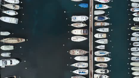 Imágenes-De-Drones-De-Suizos-Cerca-Del-Lago-Leman,-Que-Muestran-Campos-De-Uva,-Barcos,-Puerto,-Pueblos-Pequeños