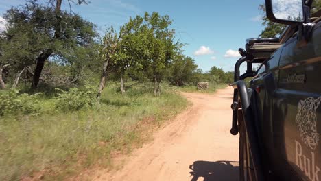 Paseo-En-Auto-Por-El-Campamento-Rukia-Safari