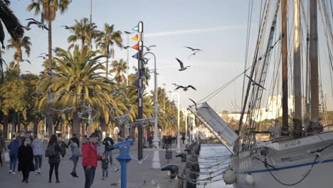 Bandada-De-Gaviotas-Vuelan-Sobre-La-Gente-En-El-Paseo-Marítimo-De-Barcelona,-España,-Cámara-Lenta