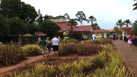 People-visiting-Dole-Plantation-in-Honolulu,-Hawaii