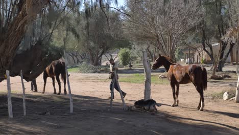 Zwei-Kinder-Gehen-Mit-Ihren-Pferden-Spazieren-Und-Albern-Auf-Einer-Ranch-Herum,-Totale