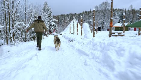 Following-a-Man-and-huskies-running-between-a-house-and-snow,-on-a-overcast,-winter-day,---Handheld,-Slow-motion-shot