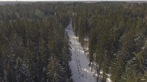 Jährlicher-Skiwettbewerb-In-Aluksne,-Lettland,-Wald-Und-Sonniger-Tag