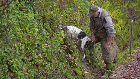 Un-Hombre-Y-Su-Perro-Cavando-En-Busca-De-Trufas-En-El-Bosque-En-Alba,-Italia