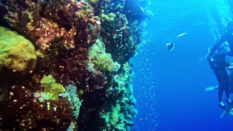 Divers-in-group-gathering-by-an-underwater-coral-rock