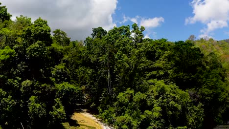 A-beautiful-waterfall-cascades-down-a-cliff-into-a-beautiful-turquoise-pool-below-in-the-middle-of-a-lush-green-jungle-in-Bohol,-Philippines