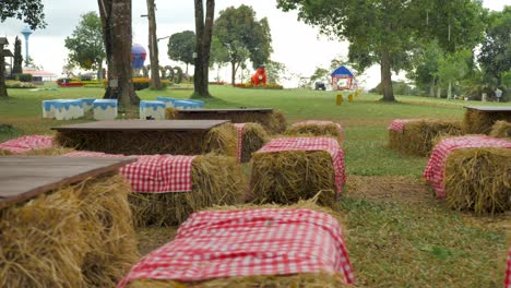 flower-garden-in-national-park-wild-flower-in-khao-yai-national-park