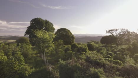 Tractor-Drone-Shot-Revelando-Imágenes-De-Puesta-De-Sol-De-Granja-Verde