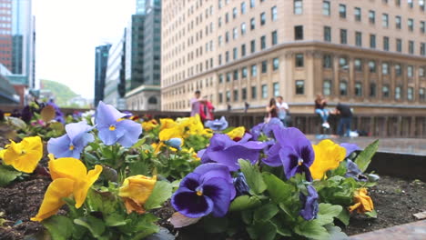 Blumen-Und-Paare-Hängen-In-Der-Innenstadt-Von-Montreal-Herum