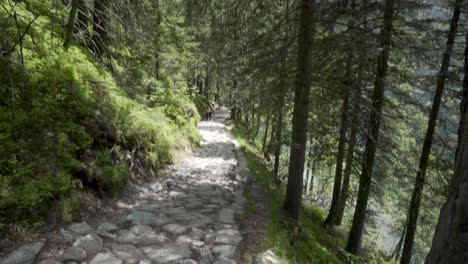 Tiro-Inclinado-Hacia-Arriba-En-Un-Camino-De-Piedra-En-Morskie-Oko,-Polonia