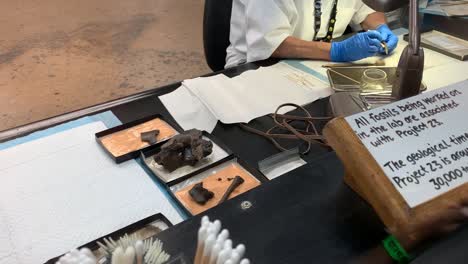 The-Fossil-Lab-is-where-visitors-can-see-real-life-Paleontologists-sorting,-cleaning,-and-studying-fossils-dug-from-the-La-Brea-Tar-Pits