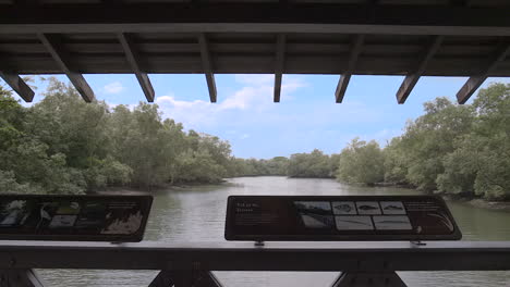 A-Refreshing-View-From-The-Observation-Hut-Of-A-Beautiful-Park-In-Singapore---Medium-Shot