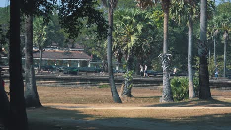 Amplia-Toma-Exterior-De-Turistas-Caminando-A-Través-De-Algunos-árboles-Cerca-De-Un-Edificio-Antiguo-En-El-Fondo