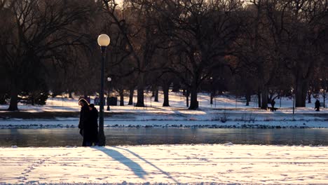 Pareja-De-Ancianos-Caminando-En-El-Parque-Contra-Un-Fondo-De-Luz-Cálida