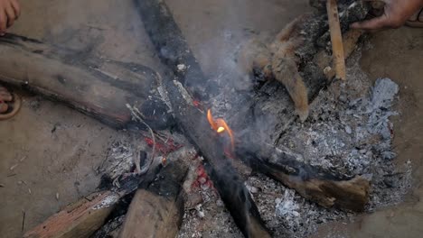 Gente-Cocinando-Primates-De-Loris-Peludos-Sobre-Llamas-De-Fuego---Brasas-En-La-Escena-Del-Asentamiento-De-La-Aldea-De-Laos