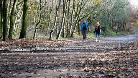 Lässiges-Paar-Mittleren-Alters-Spaziert-Im-Herbstlichen-Wald,-Während-Radfahrer-Vorbeifährt