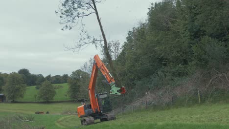 Excavadora-Excavadora-Con-Accesorio-De-Cizalla-Para-árboles-árbol-Cortado-Oscilante