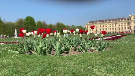 Schloss-Schönbrunn-War-Das-Residenzschloss-Der-Habsburgischen-Herrscher