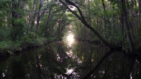 "Eustis,-FL---USA---8-20-2020:-Slow-Push-forward-through-a-sunlit-shallow-canal-in-Lake-Eustis