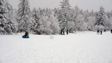 Vater-Und-Sohn-Rodeln-Im-Winterwunderland