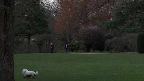 Personas-Que-Van-A-Caminar-En-El-Parque-Local-Durante-El-Encierro