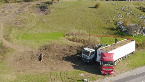 Verladung-Von-Holzstämmen-In-Einen-Schweren-LKW-In-Sentrupert,-Slowenien