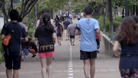 Grupo-Saludable-De-Personas-Trotando-En-La-Pista-En-El-Parque