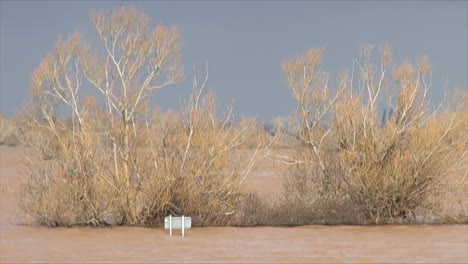 Großbritannien,-Februar-2014-–-Bäume,-Die-Halb-Im-Hochwasser-Versunken-Sind,-Wiegen-Sich-Im-Wind-Vor-Einem-Straßenschild,-Das-Gerade-Aus-Dem-Wasser-Ragt,-Mit-Dunklen-Gewitterwolken-Dahinter