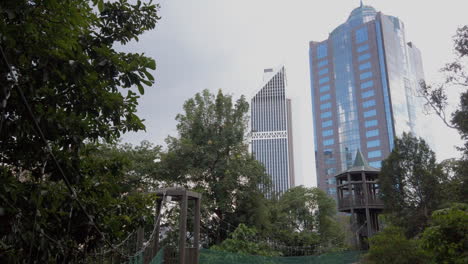 Vista-Panorámica-De-Un-Puente-Colgante-En-El-Paseo-Del-Dosel-En-El-Parque-Ecológico-Del-Bosque-De-Kuala-Lumpur