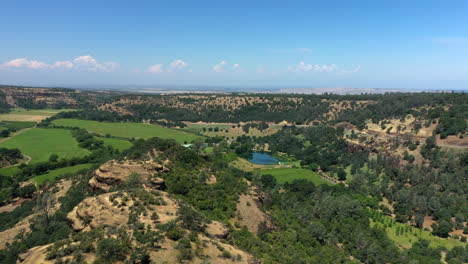 Aerial-flyover-of-vineyards-and-bluffs-near-rural-Highway-36-in-Tehama-County,-Northern-California