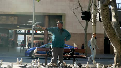 Vagabundo-Alimentando-Pájaros-De-La-Ciudad-Palomas