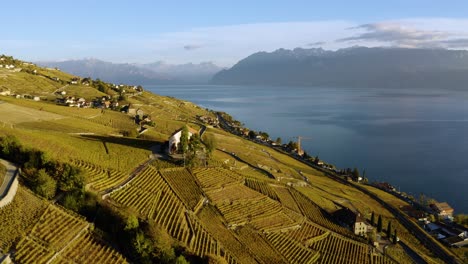 Toma-Aérea-Descendiendo-Y-Pasando-Cerca-Del-Chateau-De-Montagny-En-El-Viñedo-De-Lavaux,-Colores-Otoñales-De-Suiza-Y-Luz-Del-Atardecer