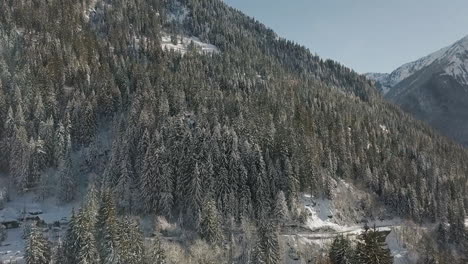 Zeitlupen-Drohnenaufnahme,-Die-Vom-Boden-Aus-In-Richtung-Der-Wunderschönen-Alpinen-Immergrünen-Bäume-Fliegt,-Mit-Einem-Leichten-Schwenk-Nach-Links