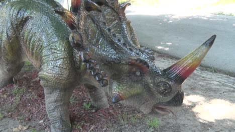 Dinosaurio-Styraseurus-Realista-En-Dino-Park-Frente-A-La-Cabeza