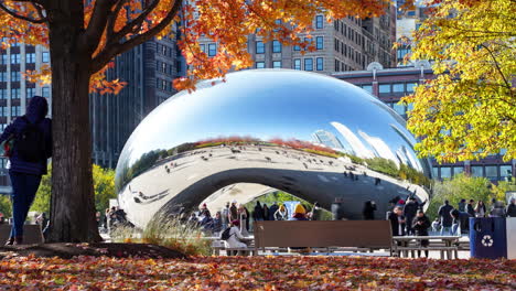 Zeitraffer-Mit-Langsamer-Verschlussbewegung-Von-Menschen,-Die-Anish-Kapoors-Cloud-Gate-Im-Millennium-Park-Von-Chicago-Genießen,-Mit-All-Den-Fantastischen-Herbstblättern-In-Den-Bäumen-Und-Auf-Dem-Boden-Im-November