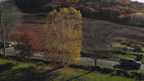 Pickup-truck-drives-by-Autumnal-colored-road-side-4K