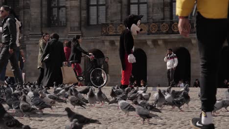 Artista-Callejero-De-Mickey-Mouse-Marchitándose-Entre-Turistas-Y-Palomas-En-Dam-Square,-Amsterdam,-Países-Bajos---Cámara-Lenta-De-180-Fps