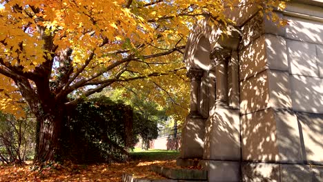 Herbstblätter-über-Einem-Alten-Grab-Auf-Einem-Friedhof-4k