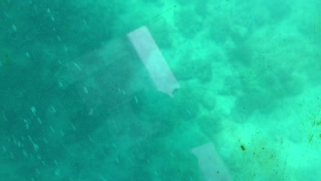 Boy-sitting-on-a-glass-bottom-boat-looking-into-the-bottom-of-the-ocean-floor