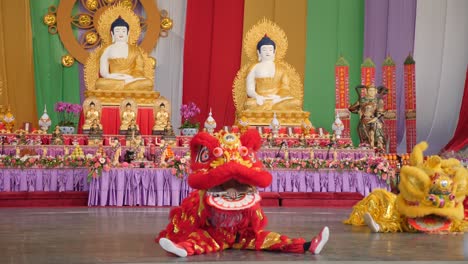 Löwentanz-Buddha-Geburtstagsfest,-Brisbane-2018-Löwentanzshow-Beim-Chinesischen-Neujahrsfest