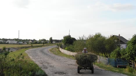 Woman-Riding-on-the-Back-of-Hay-Wagon-Being-Pulled-by-Mule-Down-in-a-Small-Farm-Town-in-Ukraine-During-Sunset