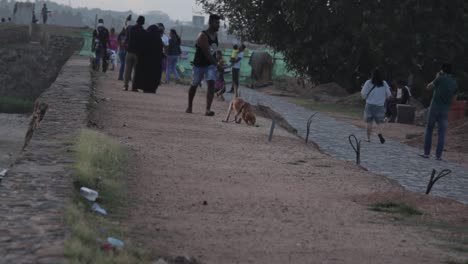 Golden-Retriever-Welpe-Spielt-Mit-Seinem-Herrchen-Im-Abendlichen-Sonnenuntergang-In-Galle-Fort,-Sri-Lanka,-Die-Hundeleine-Wurde-Vom-Meisterclip-Fallen-Gelassen