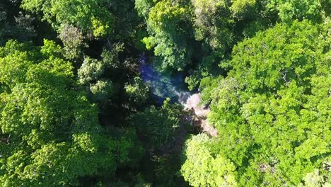 Descending-aerial-over-a-lone-swimmer-at-a-natural-rock-pool