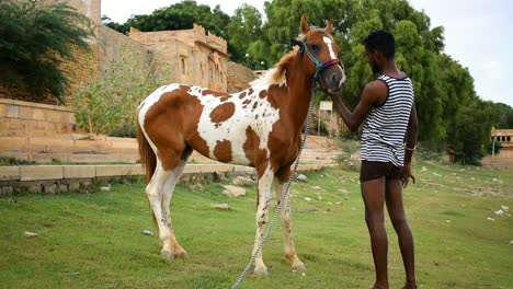 Persona-Acariciando-A-Un-Caballo-En-Un-Jardín-Cerca-De-Un-Lago