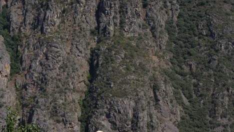 People-at-lookout-post-in-the-Ribeira-Sacra-Spain,-pan-down