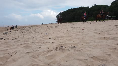 Unos-Caballos-Con-Jinetes-Caminando-En-Una-Hermosa-Playa-Detrás-De-Los-Pescadores