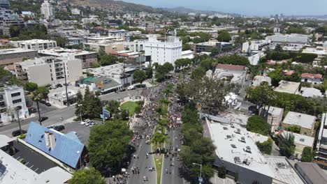 Multitud-Marchando-En-Hollywood-Para-Blm