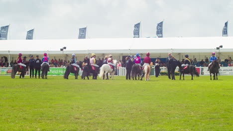 Bei-Der-Royal-Cornwall-Show-2022-Saßen-Kleine-Jungen-Auf-Shetlandponys-Und-Bereiteten-Sich-Auf-Eine-Preisverleihung-Vor